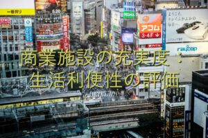地域特性⑤　商業施設の充実度：生活利便性の評価